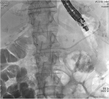 Figure 6